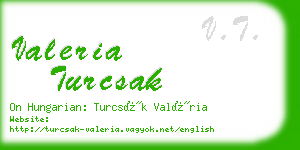 valeria turcsak business card